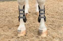 Equifit Original Front Boot -Best Saddle Shop 01701 4