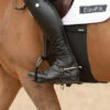 Equifit BellyBand
