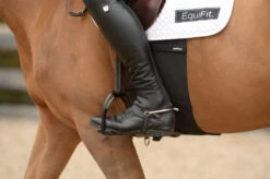 Equifit BellyBand
