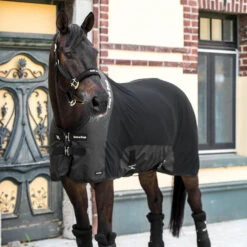 Back On Track Mesh Rug With Neck DELUXE -Best Saddle Shop 1000 by 1000 d meshb