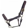 Bromont Raised And Padded Leather Halter