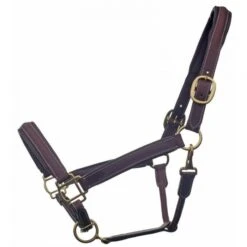 Bromont Raised And Padded Leather Halter