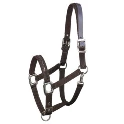 Schockemohle Memphis Breakaway Halter 7 Schockemohle Memphis Breakaway Halter -Best Saddle Shop 1311 00020 Memphis Breakaway chocolateI5WSVM7zuUP6J