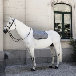 Kentucky Saddle Pad Pied-de-Poule Jumping -Best Saddle Shop 14052020 485a1774 564c22e810080218547dfa1c1093aa08 article photobook l