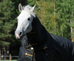 Bucas Irish Turnout Extra 300g Hood