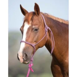 Mustang Mountain Rope Halter With Lead -Best Saddle Shop 3426 2000x2000 1