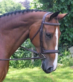 KL Select Black Oak Laurel Pony Hunter Bridle