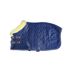 KENTUCKY HORSEWARE - SHOW RUG VELVET 160G 16 KENTUCKY HORSEWARE - SHOW RUG VELVET 160G -Best Saddle Shop 52171 03 a929523bbdd099ba1a676b6771a9e673 article photobook m