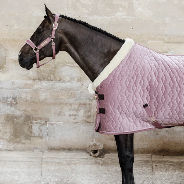 KENTUCKY HORSEWARE - SHOW RUG VELVET 160G 1 KENTUCKY HORSEWARE - SHOW RUG VELVET 160G