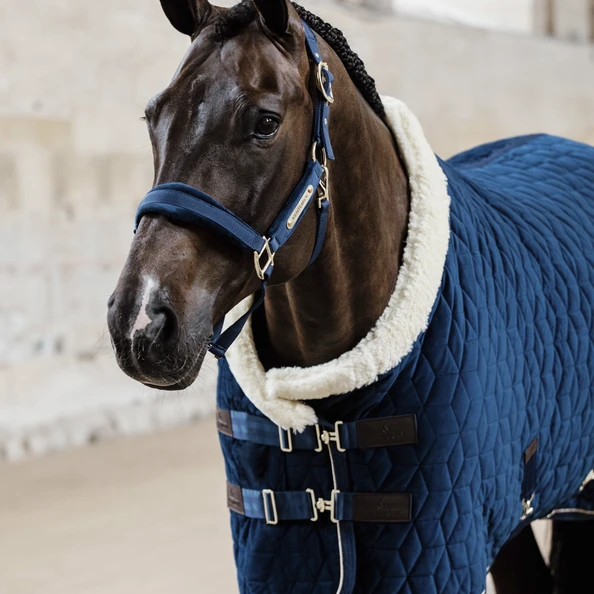 KENTUCKY HORSEWARE - SHOW RUG VELVET 160G 6 KENTUCKY HORSEWARE - SHOW RUG VELVET 160G - Image 6