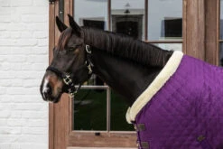 KENTUCKY SHOW RUG 20 KENTUCKY SHOW RUG -Best Saddle Shop 63c94f388e0b2 e838d286fa9d582c860431ea475a886b2d16534a 485A0533