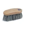 CanPro Plastic Back Dandy Brush 1/2 Size
