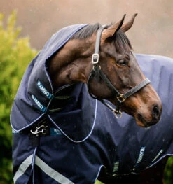 Horseware Ireland HORSEWARE - RAMBO DUO FORCE -Best Saddle Shop AAADNE BGTB Duo Force Ripstop Hood Navy