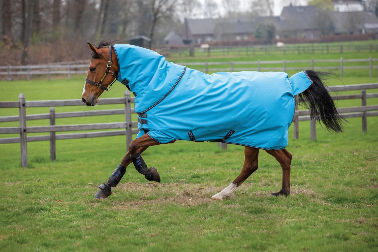 Horseware Ireland Amigo Hero 900 Plus Med 200g 2 Horseware Ireland Amigo Hero 900 Plus Med 200g - Image 2