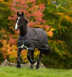 Horseware Ireland Amigo® Bravo 12 Original Pony (0g Lite)