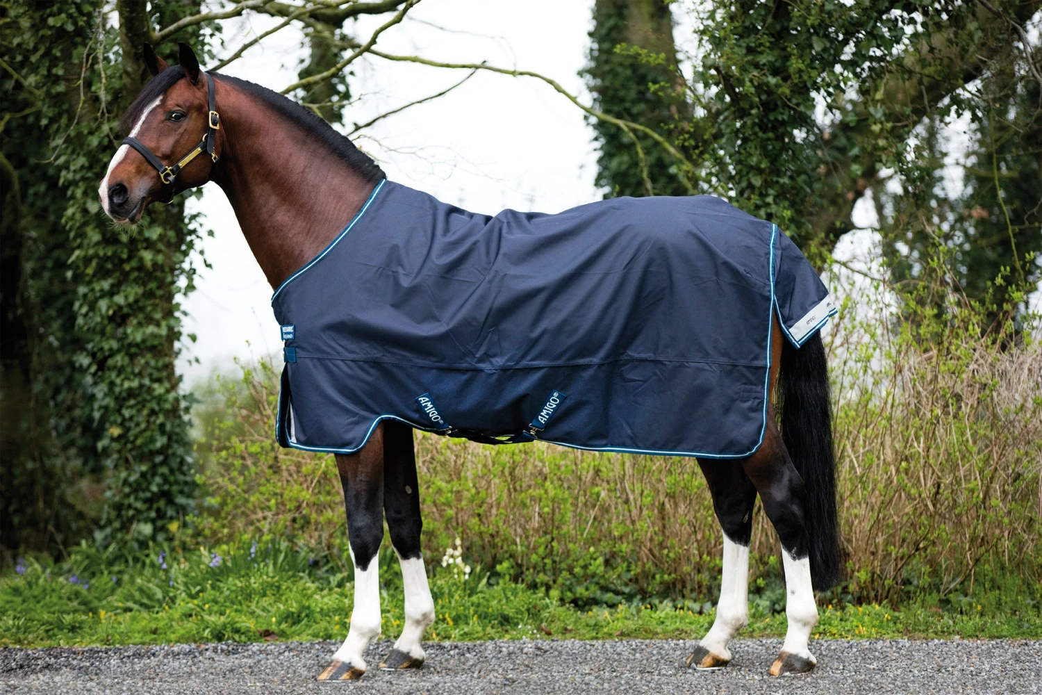 Horseware Ireland Amigo Bravo 12 Original Turnout Lite 2 Horseware Ireland Amigo Bravo 12 Original Turnout Lite - Image 2