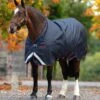 HORSEWARE IRELAND - Amigo Bravo 12 XL LITE 0g