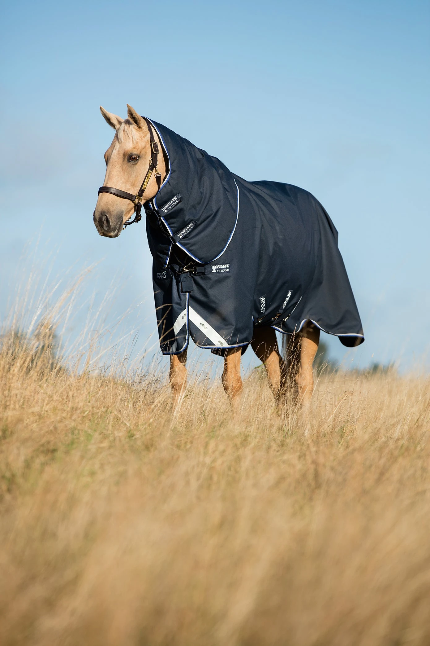 Horseware Ireland Amigo Bravo 12 Plus Heavy - 400g 2 Horseware Ireland Amigo Bravo 12 Plus Heavy - 400g - Image 2