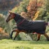 Horseware Ireland Amigo Bravo 12 Plus Heavy - 400g