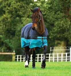 Horseware Ireland Amigo Mio Lite Turnout 6 Horseware Ireland Amigo Mio Lite Turnout -Best Saddle Shop AASA41 KCTK