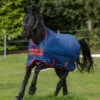 Horseware Ireland Amigo Mio Medium Turnout