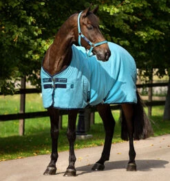 Horseware Ireland Amigo Stable Sheet 8 Horseware Ireland Amigo Stable Sheet -Best Saddle Shop ADRF22 DBB0
