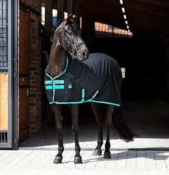 Horseware Ireland Amigo Stable Sheet 9 Horseware Ireland Amigo Stable Sheet -Best Saddle Shop ADRF22 KCTR RGB 1 600x620 1024x1024 771d1df4 2f98 42ff b1de 5bc297dfe2b6