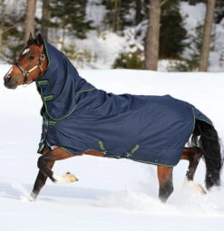 Horseware Ireland Amigo Bravo 12 Turnout Plus Medium - Pony