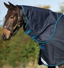 Horseware Ireland Amigo Hood 0G -Best Saddle Shop AmigoBravo150navy electricAARN41 BBE0 AARN42 BBE0