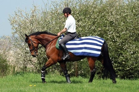 Horseware Ireland Rambo Newmarket Competition Sheet 2 Horseware Ireland Rambo Newmarket Competition Sheet - Image 2