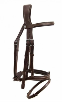Antares Flash Origin Bridle