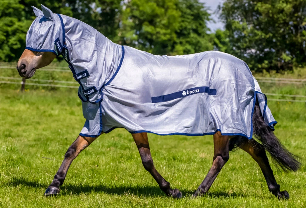 Bucas Buzz-Off Fly Sheet With Detachable Neck 1 Bucas Buzz-Off Fly Sheet With Detachable Neck