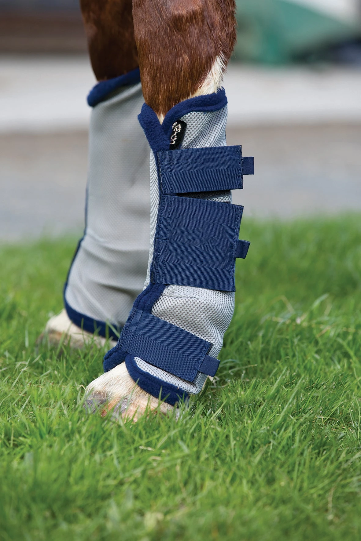 Horseware Ireland Amigo Fly Boots 1 Horseware Ireland Amigo Fly Boots