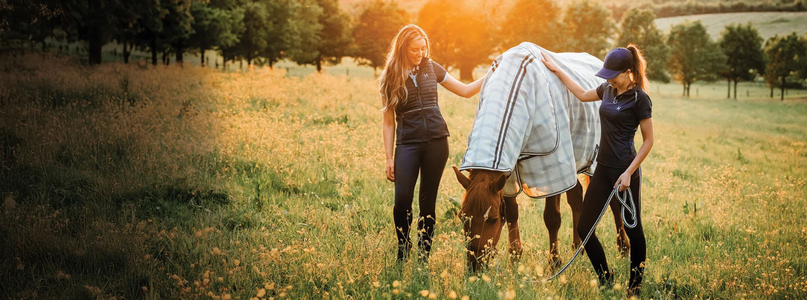 Best Saddle Shop -Best Saddle Shop DGDFG