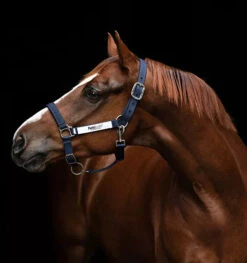 HORSEWARE IRELAND - Rambo Fieldsafe Halter