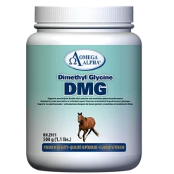 Omega Alpha DMG