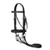 Vespucci Double Raised Weymouth Dressage Bridle