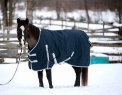 Medium Weight Turnout