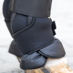 Back On Track Royal Quick Wraps DELUXE -Best Saddle Shop Deluxe 1000 by 1000 af