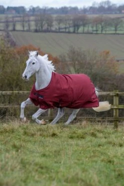 Bucas Freedom Turnout Classic Light -Best Saddle Shop Freedom Turnout Cherry 6427 1 scaled 1