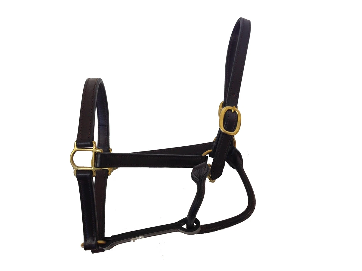 BigM 3/4" Unpadded Leather Halter 1 BigM 3/4" Unpadded Leather Halter