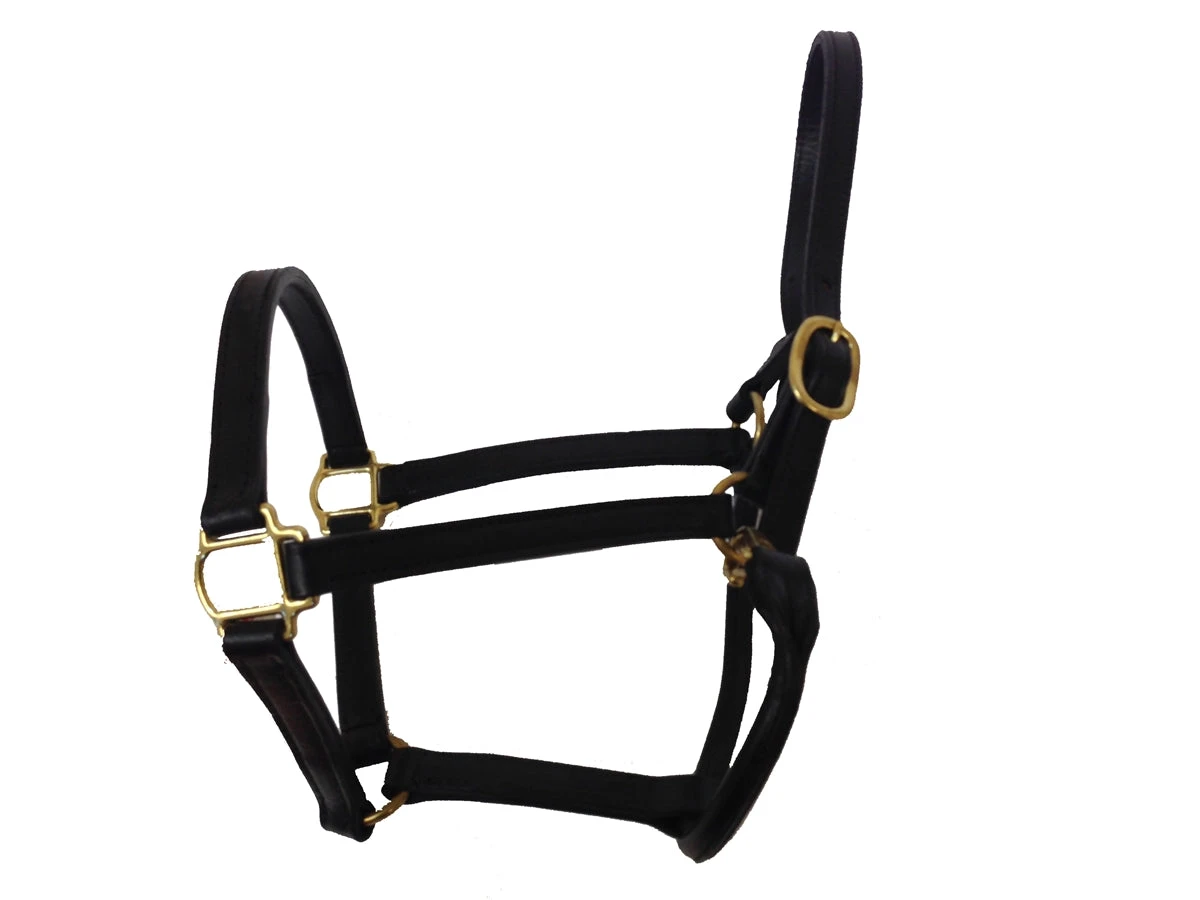 BigM 3/4" Unpadded Leather Halter 2 BigM 3/4" Unpadded Leather Halter - Image 2