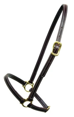Walsh Leather Grooming Halter