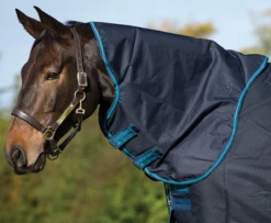 Horseware Ireland Horseware Amigo Hood 250G -Best Saddle Shop HWAMH250 2