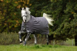 Horseware Ireland Amigo Bravo 12 Original Turnout Lite