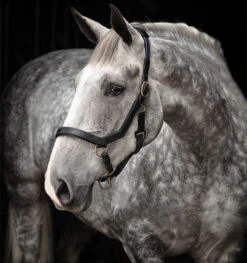 Horseware Ireland Rambo Micklem Halter