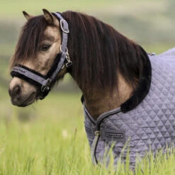 BACK ON TRACK HAZE COLLECTION SHOW RUG -Best Saddle Shop Haze 12