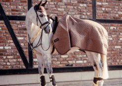 BACK ON TRACK HAZE COLLECTION SHOW RUG