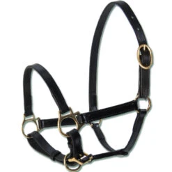 Waldhausen - Leather Foal Halter