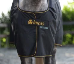 Bucas Irish Turnout Medium 7 Bucas Irish Turnout Medium -Best Saddle Shop IrishTurnoutBlackGold4974 scaled
